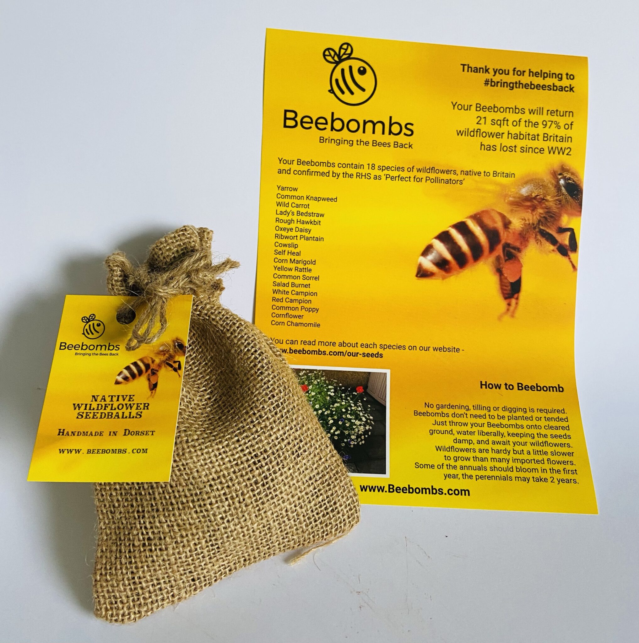 Corn Chamomile — Beebombs